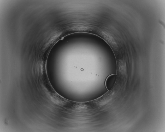 X0000097900206200803141402