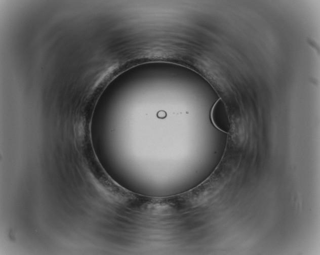 X0000097900208200803141402