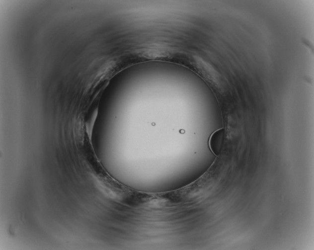 X0000097900210200803141402