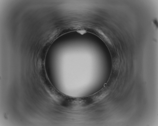 X0000097900213200803141402