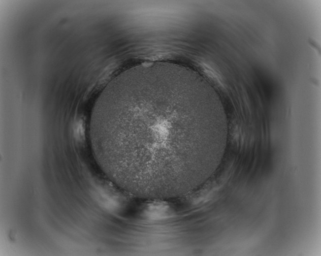 X0000097900214200803141402