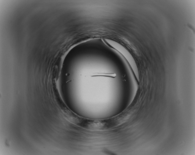 X0000097900217200803141401