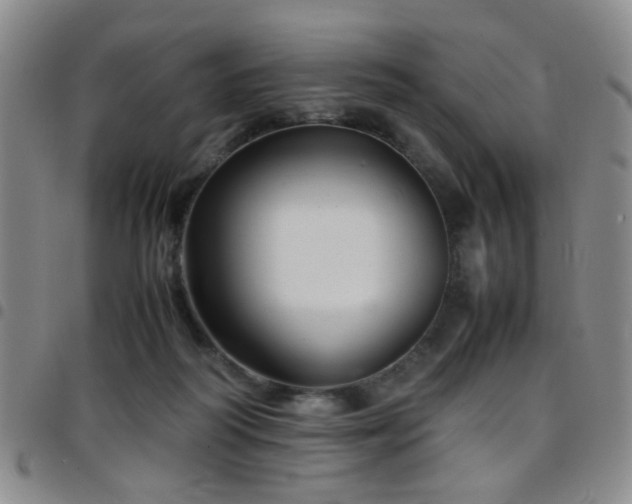 X0000097900218200803141401