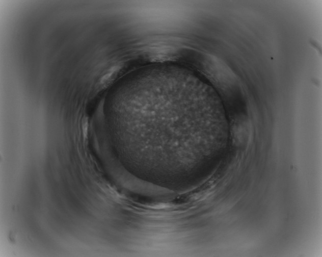 X0000097900219200803141401