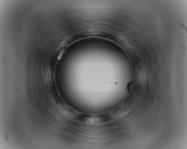 X0000097900220200803141401