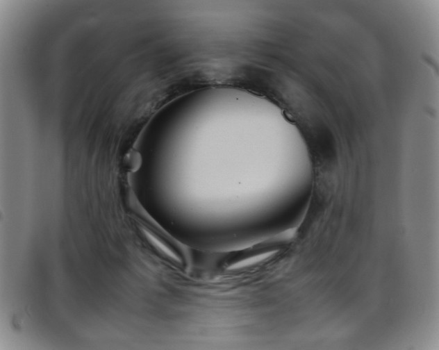 X0000097900221200803141401