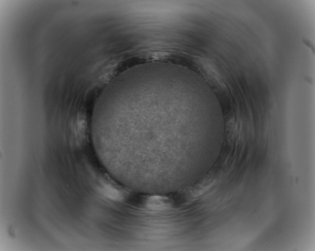 X0000097900222200803141401