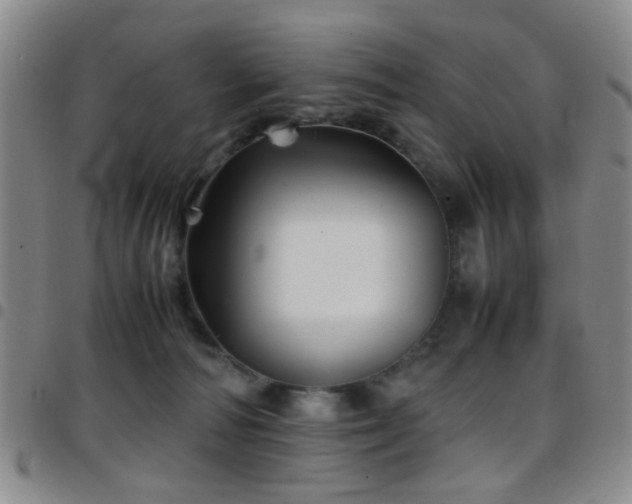 X0000097900226200803141401