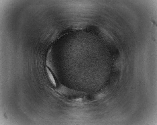 X0000097900227200803141401