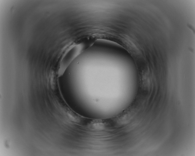 X0000097900228200803141401