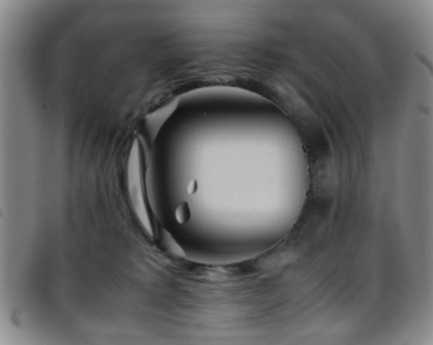 X0000097900229200803141401