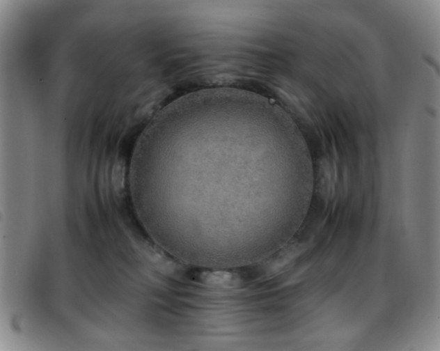 X0000097900230200803141401