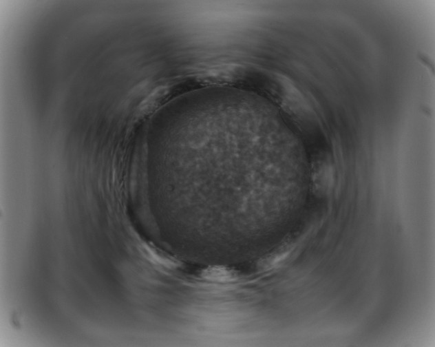 X0000097900231200803141401