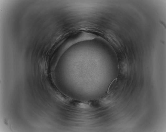 X0000097900232200803141401