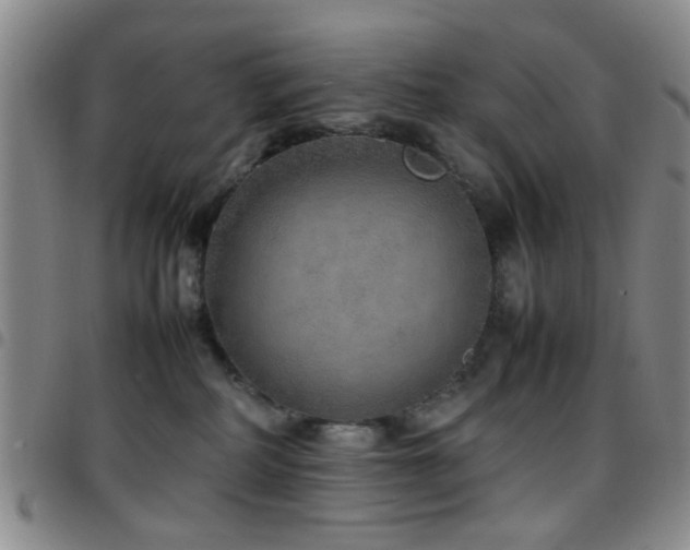 X0000097900234200803141401