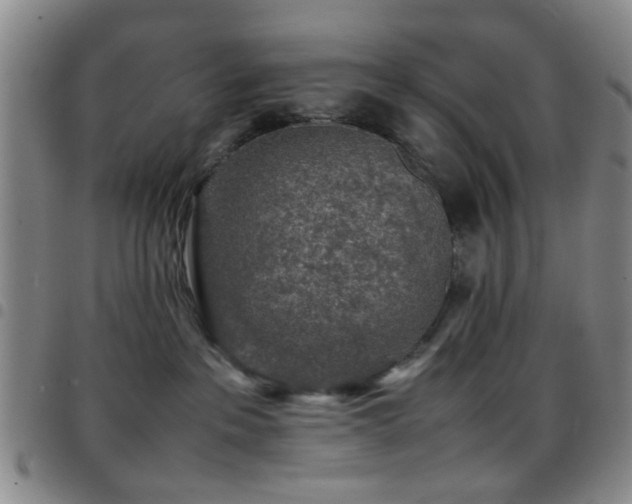 X0000097900237200803141401