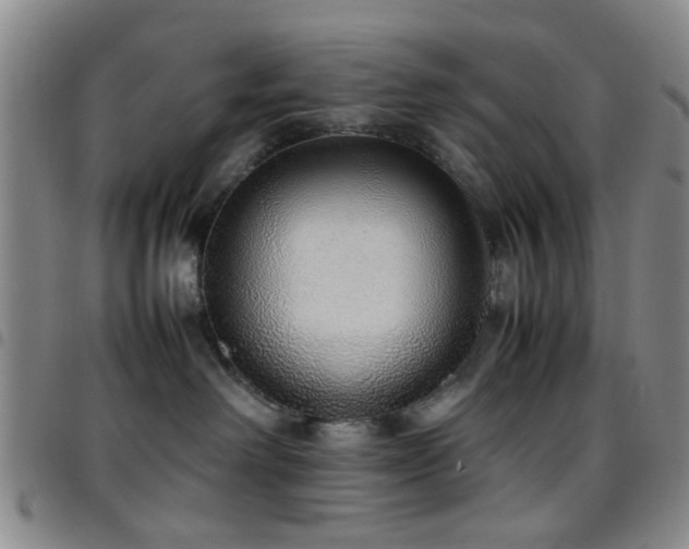 X0000097900238200803141401