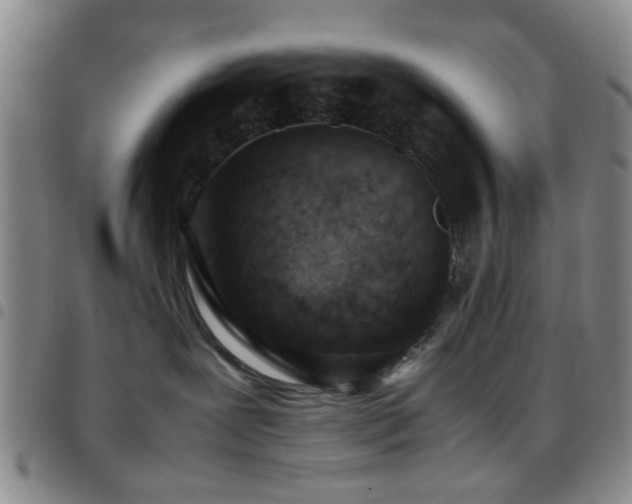 X0000097900239200803141401