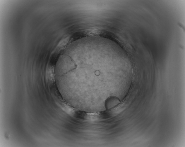 X0000097900240200803141401