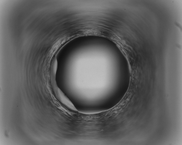 X0000097900241200803141400