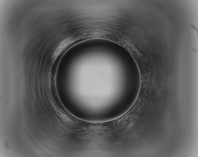 X0000097900242200803141400