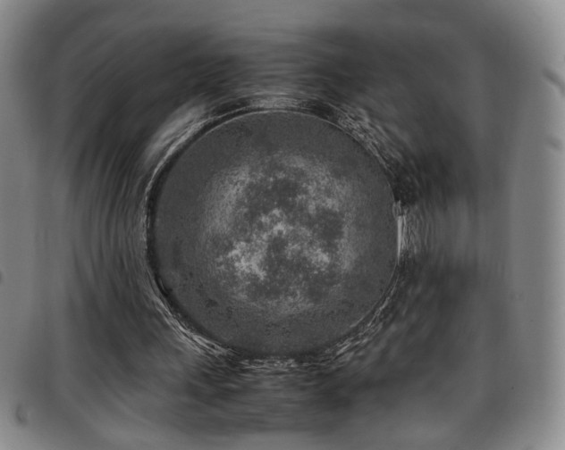 X0000097900243200803141400