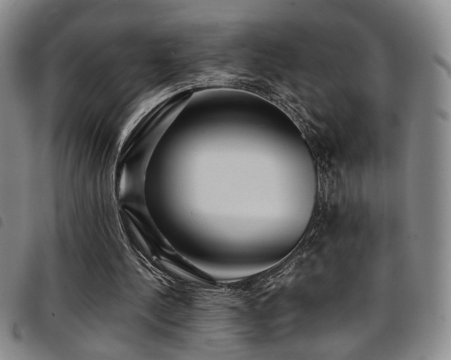 X0000097900244200803141400