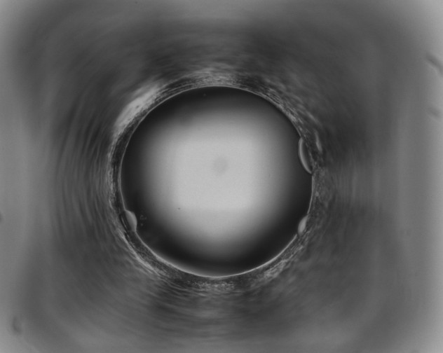 X0000097900245200803141400