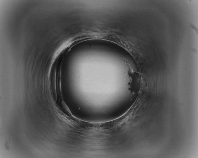 X0000097900246200803141400