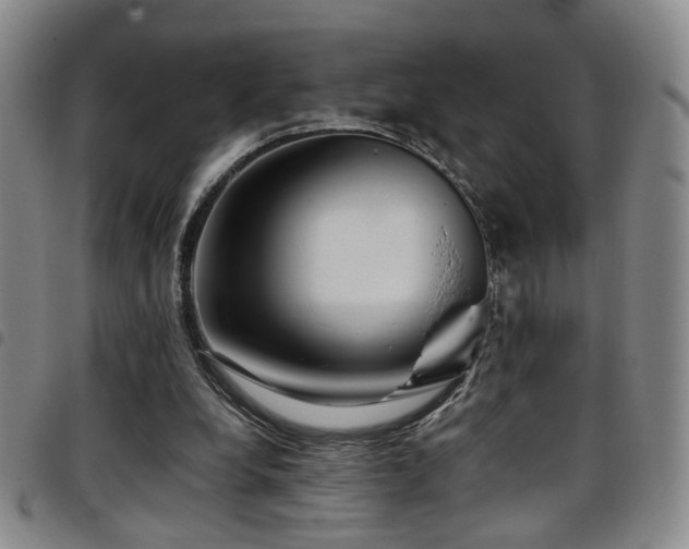 X0000097900248200803141401