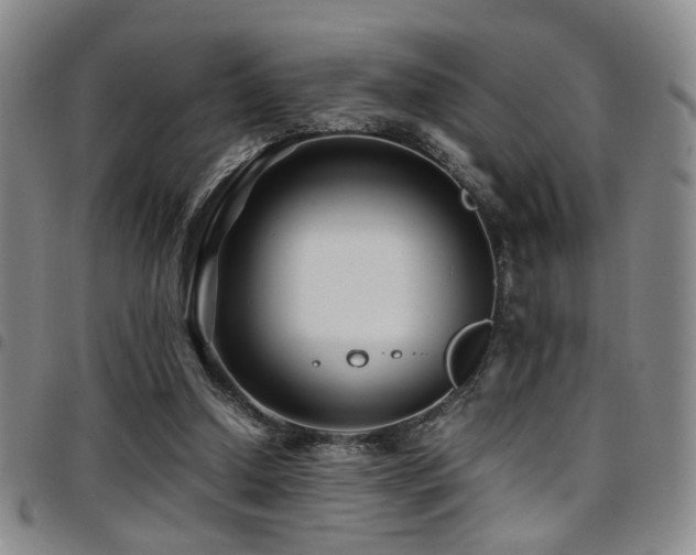 X0000097900250200803141401