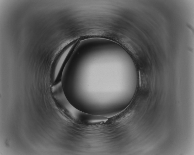 X0000097900252200803141401