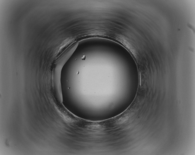 X0000097900253200803141401