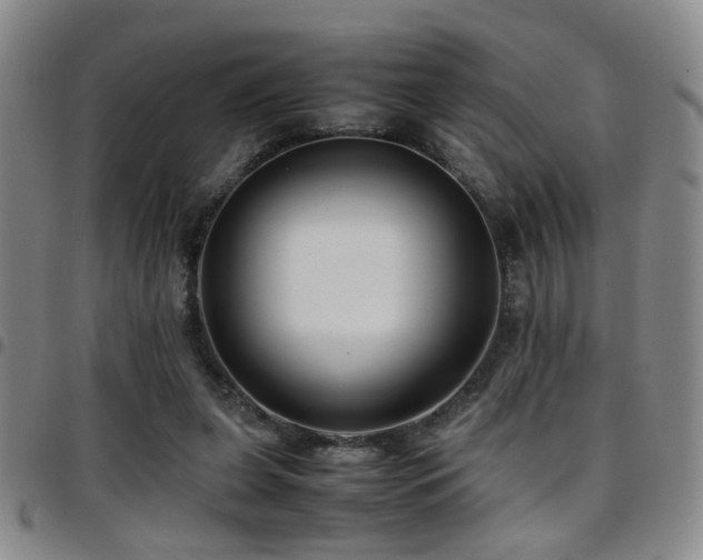 X0000097900255200803141401