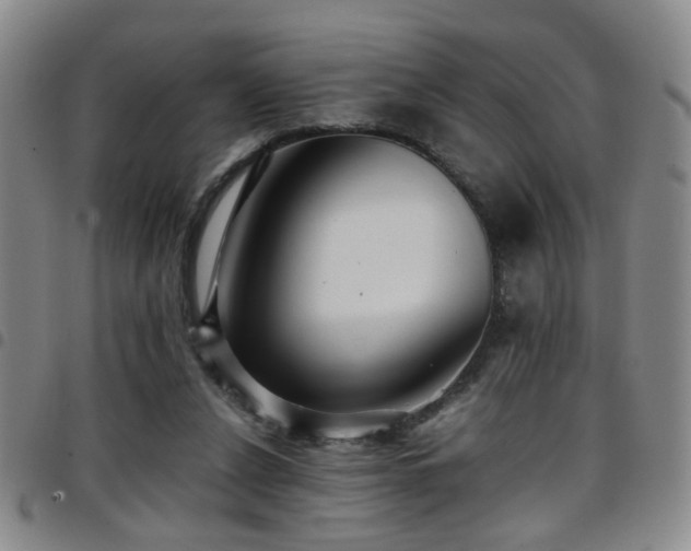 X0000097900256200803141401