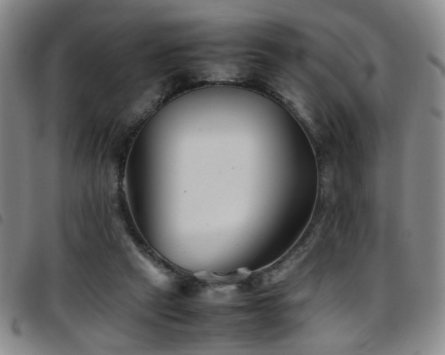 X0000097900257200803141401