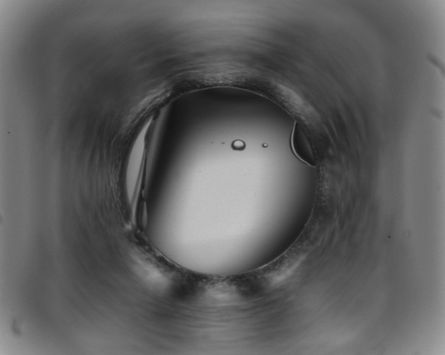 X0000097900258200803141401