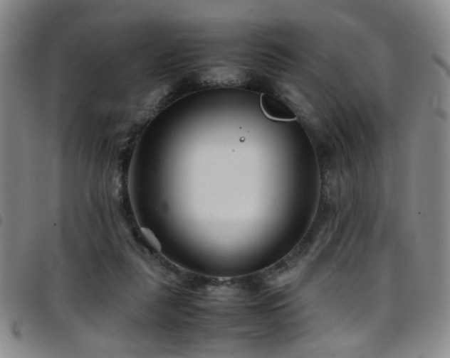 X0000097900259200803141401