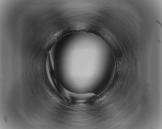 X0000097900260200803141401