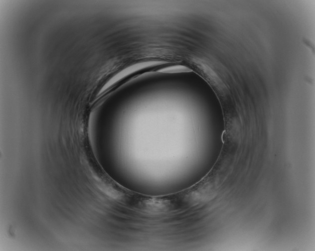 X0000097900261200803141401