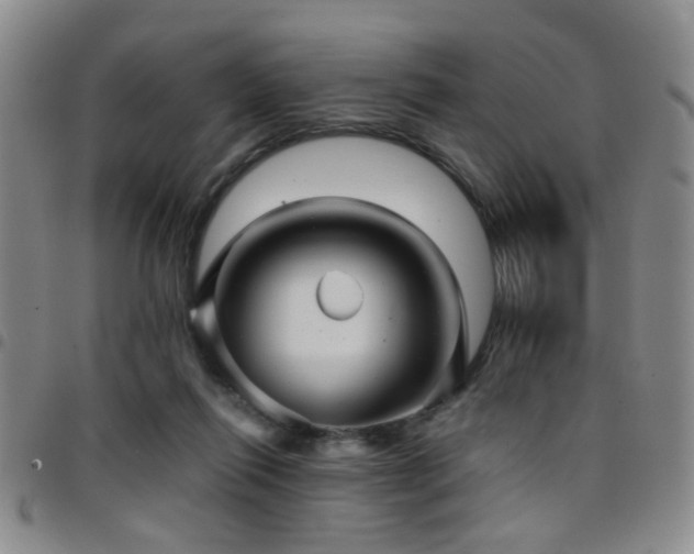 X0000097900262200803141401