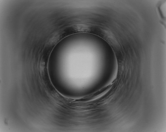 X0000097900263200803141401