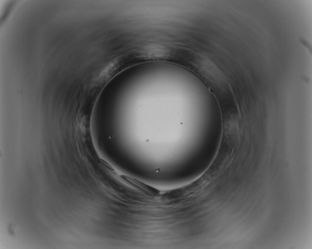 X0000097900264200803141401