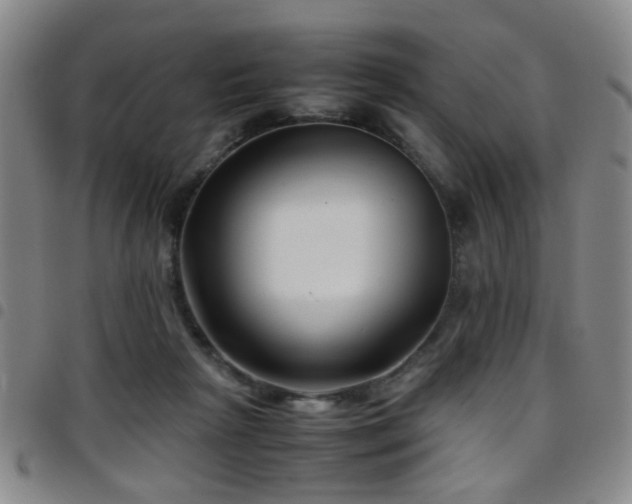 X0000097900265200803141401