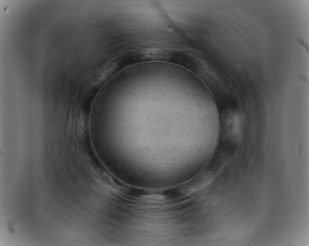 X0000097900266200803141401