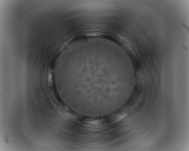 X0000097900267200803141401