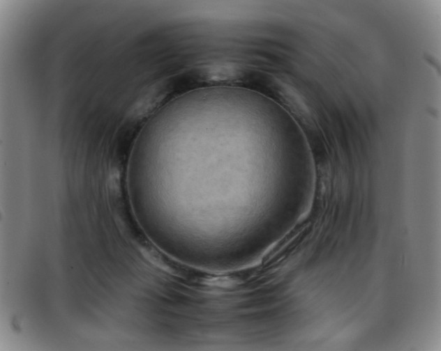 X0000097900269200803141401