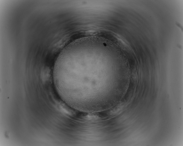 X0000097900270200803141401