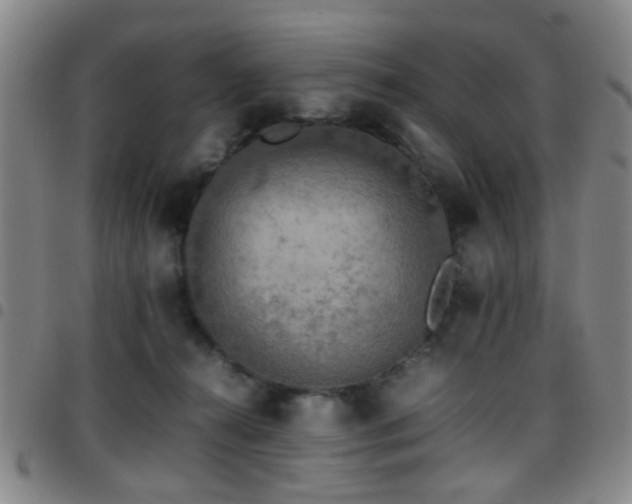 X0000097900272200803141401