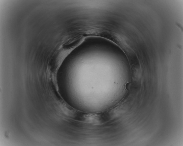 X0000097900273200803141401